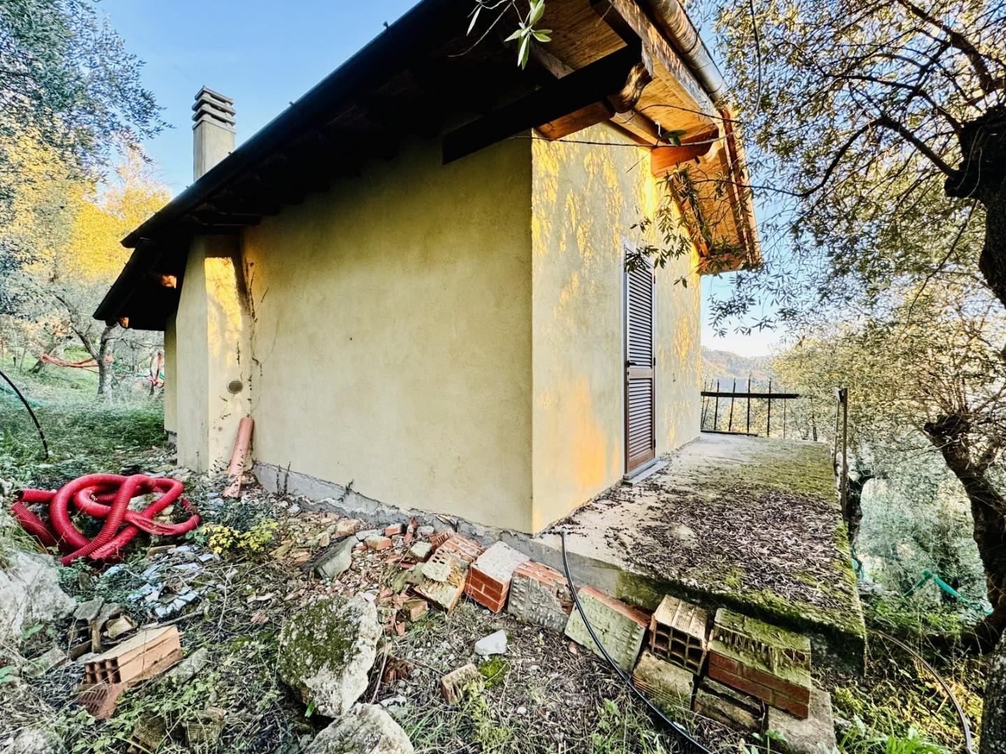 immagine annuncio 4 di 10