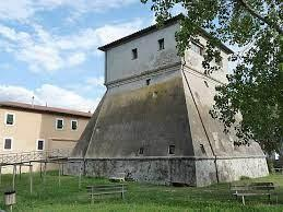 immagine annuncio 4 di 8
