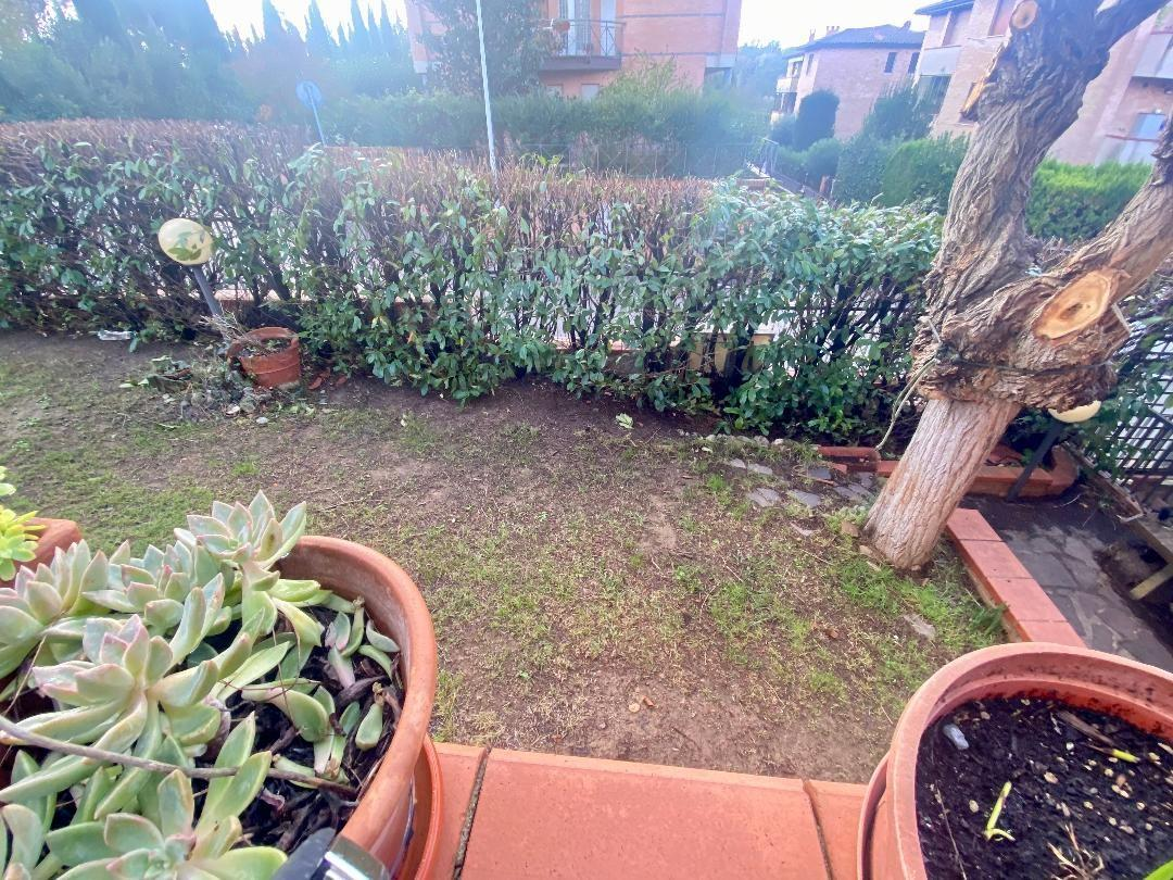 casa indipendente in vendita a Castelnuovo Berardenga in zona Geggiano