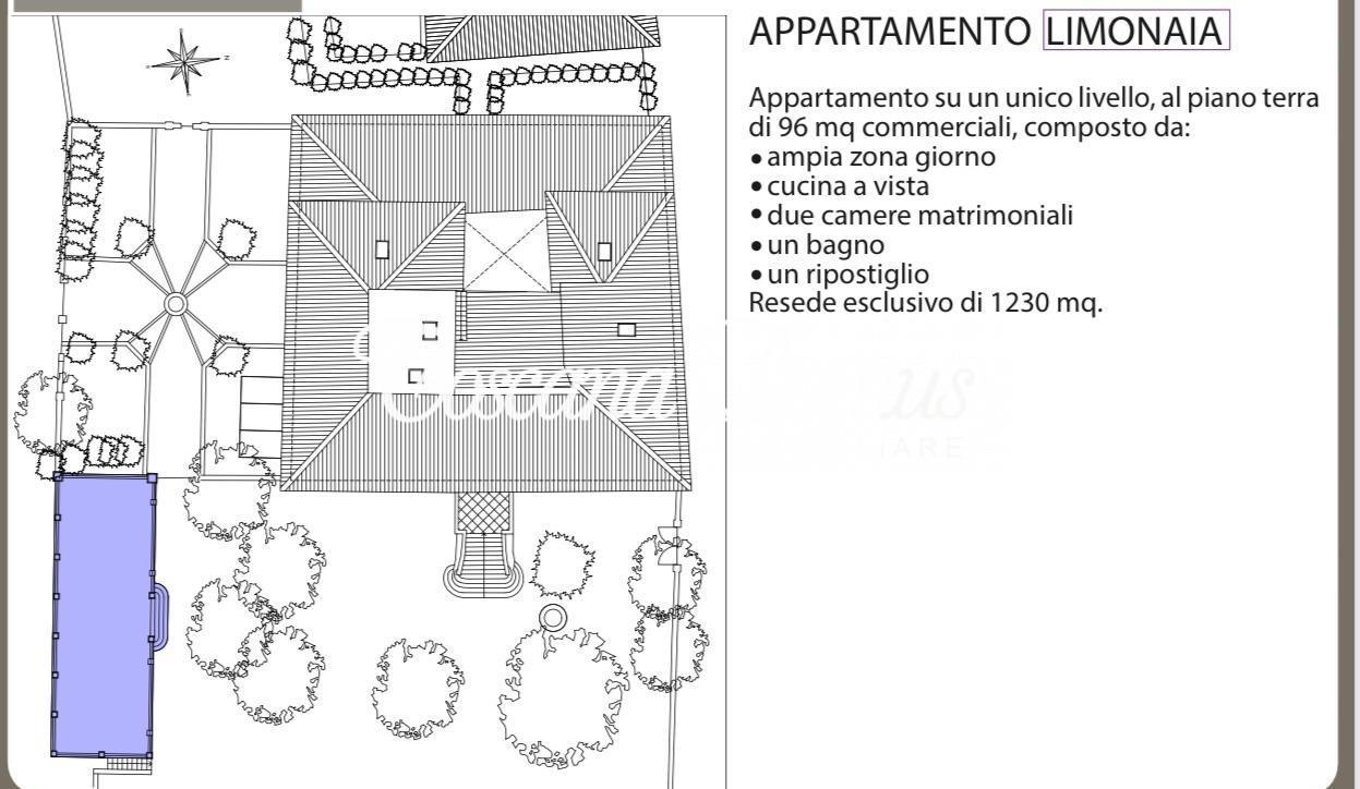 immagine annuncio 4 di 9