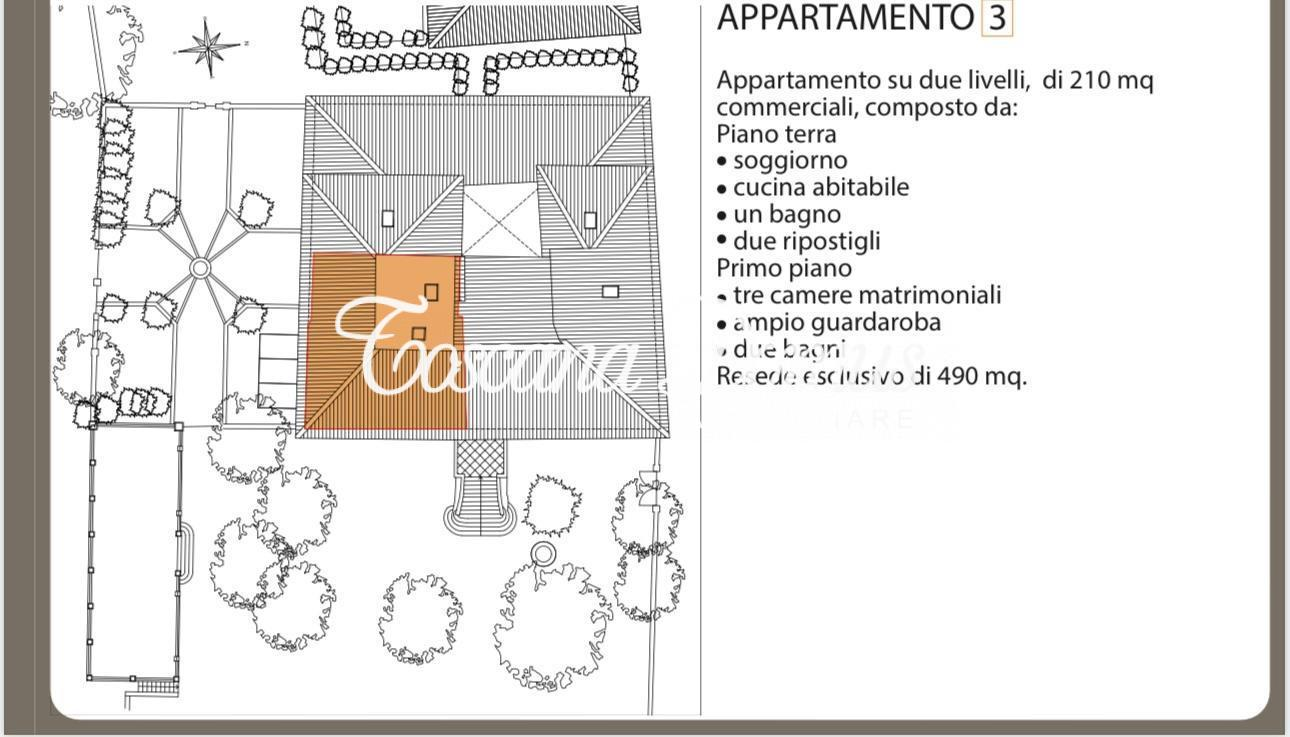 immagine annuncio 5 di 8