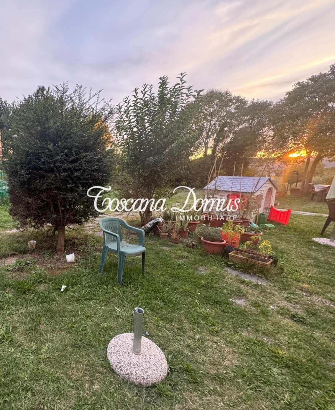 immagine annuncio 4 di 8