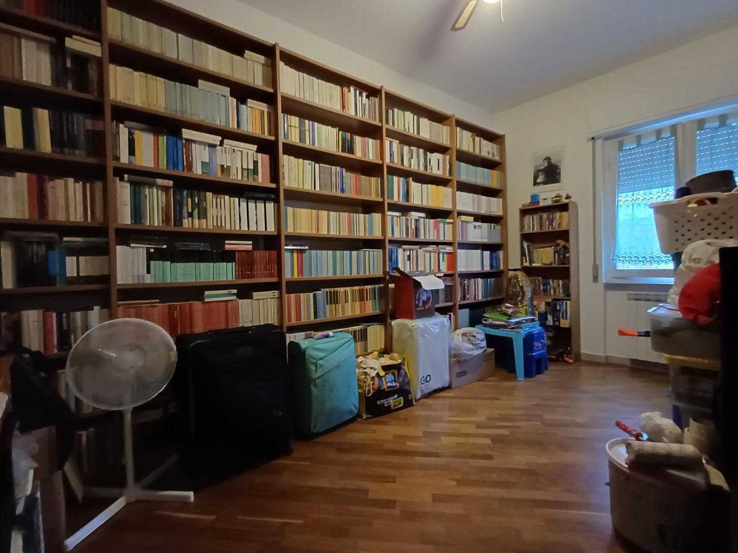 immagine annuncio 5 di 6