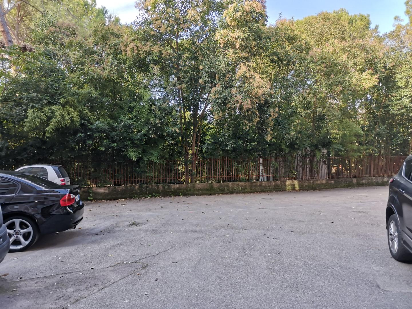 immagine annuncio 6 di 7