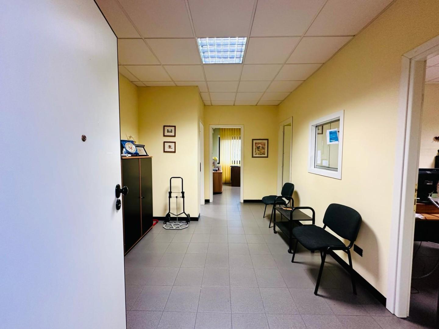immagine annuncio 3 di 8