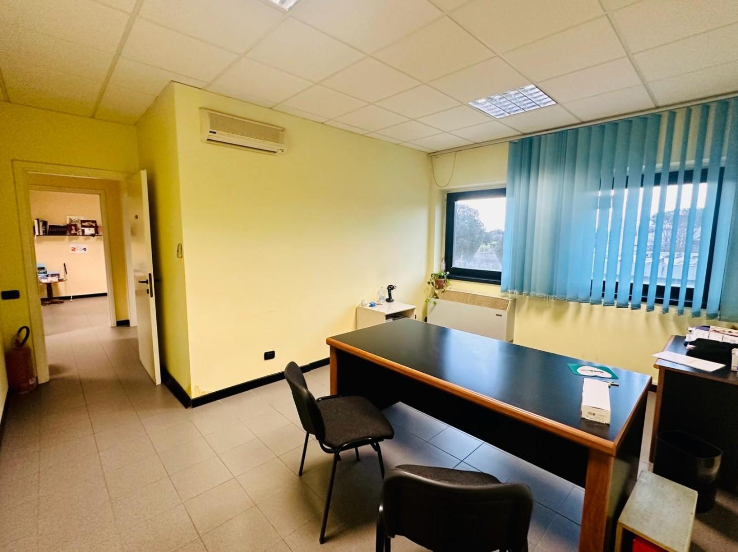 immagine annuncio 3 di 8