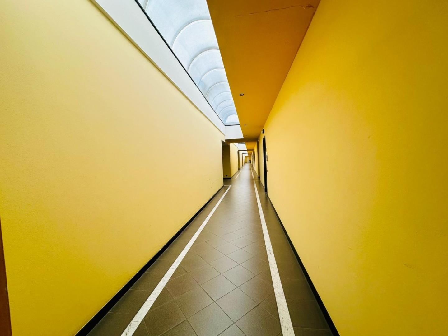 immagine annuncio 6 di 8