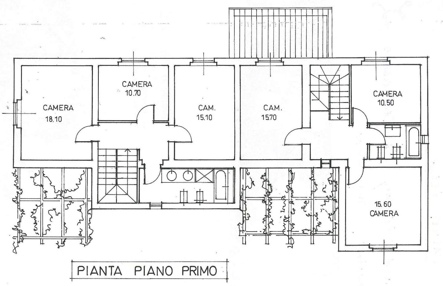 immagine annuncio 5 di 7
