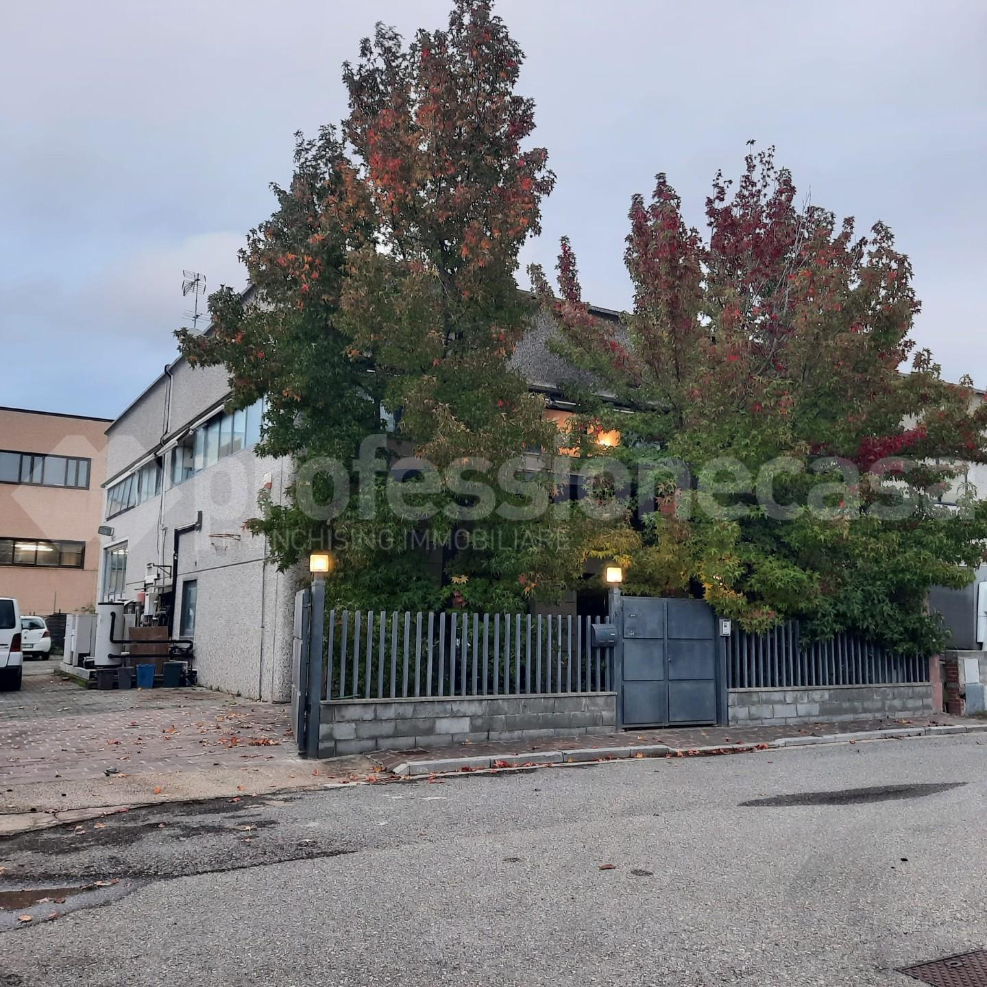 immagine annuncio 1 di 10