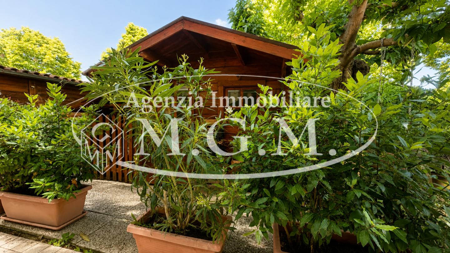 immagine annuncio 5 di 10