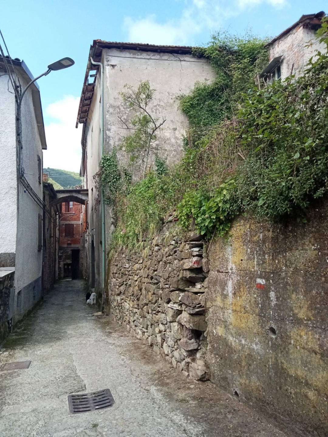 immagine annuncio 5 di 9