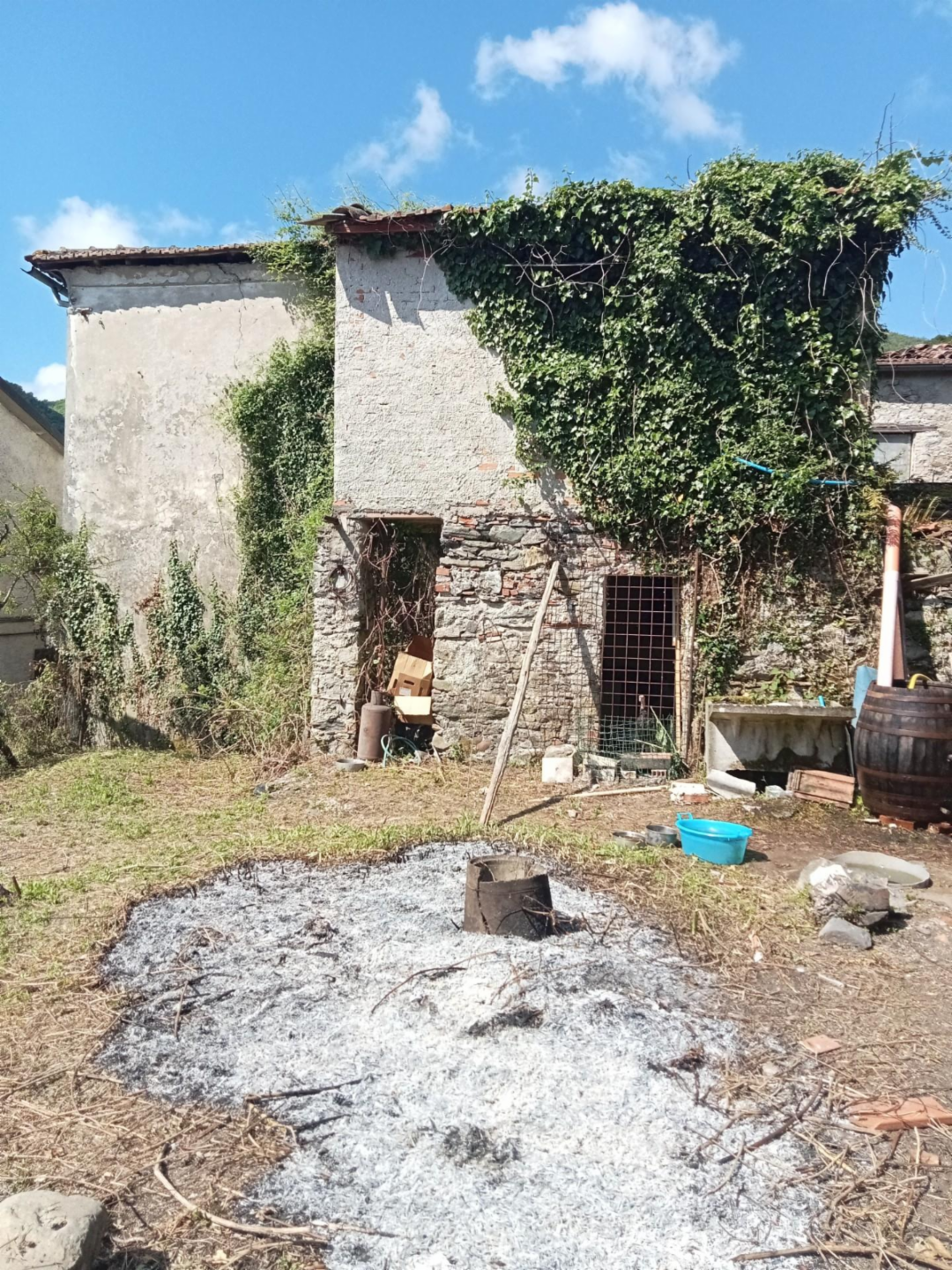 immagine annuncio 3 di 9