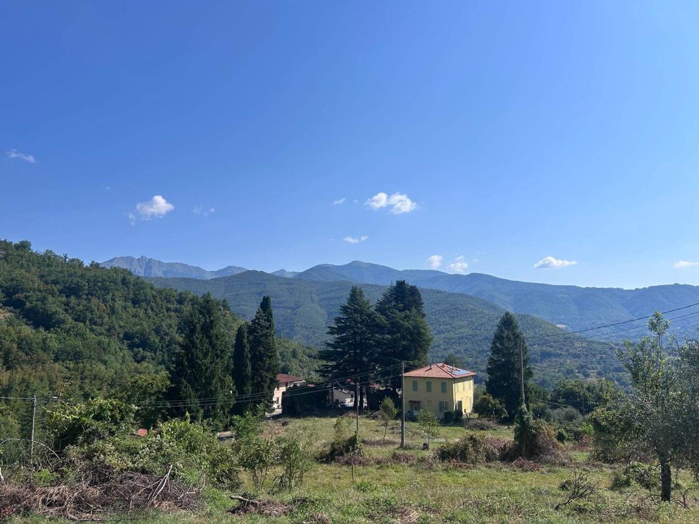 immagine annuncio 1 di 7