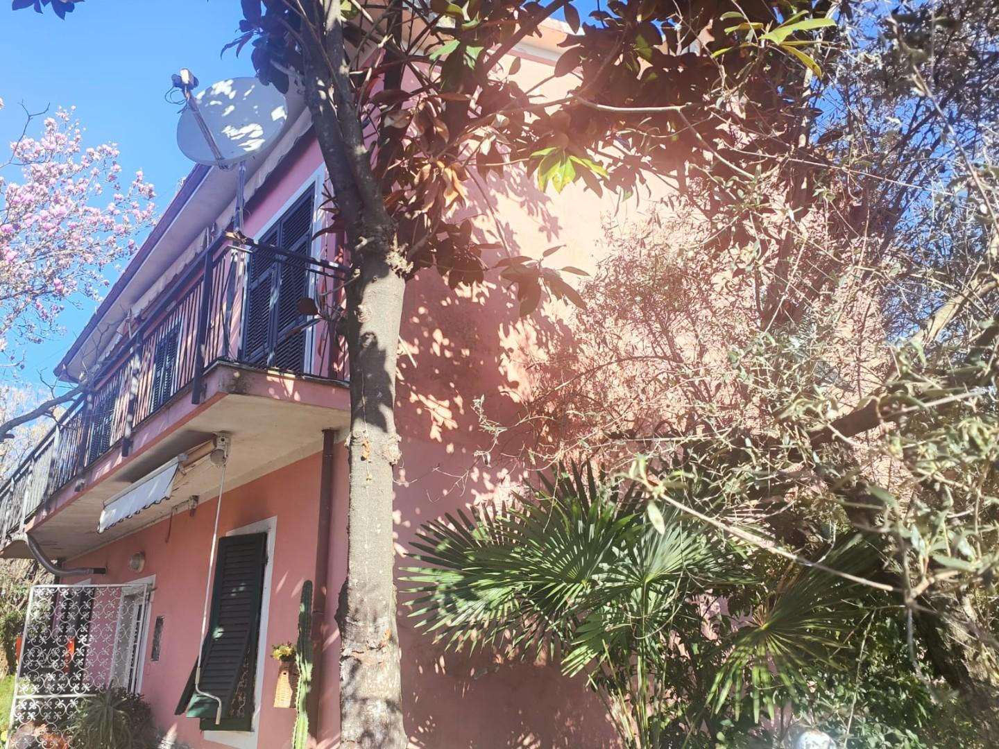 immagine annuncio 6 di 9