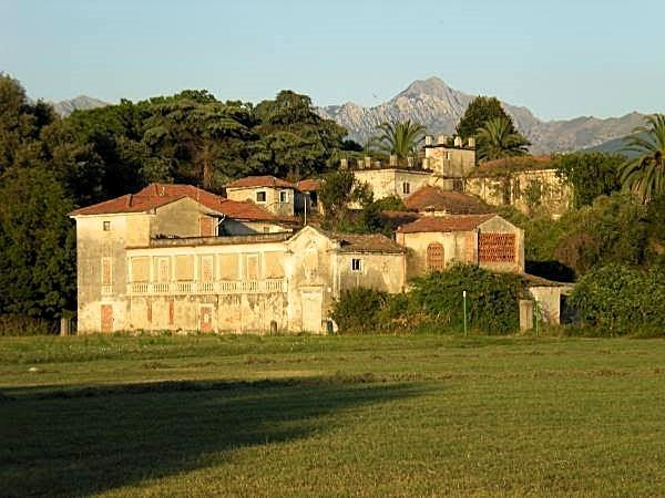 immagine annuncio 1 di 2