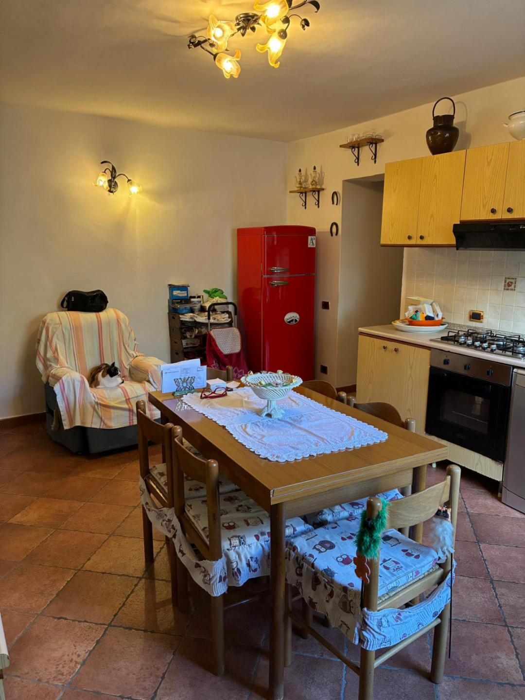 immagine annuncio 6 di 10