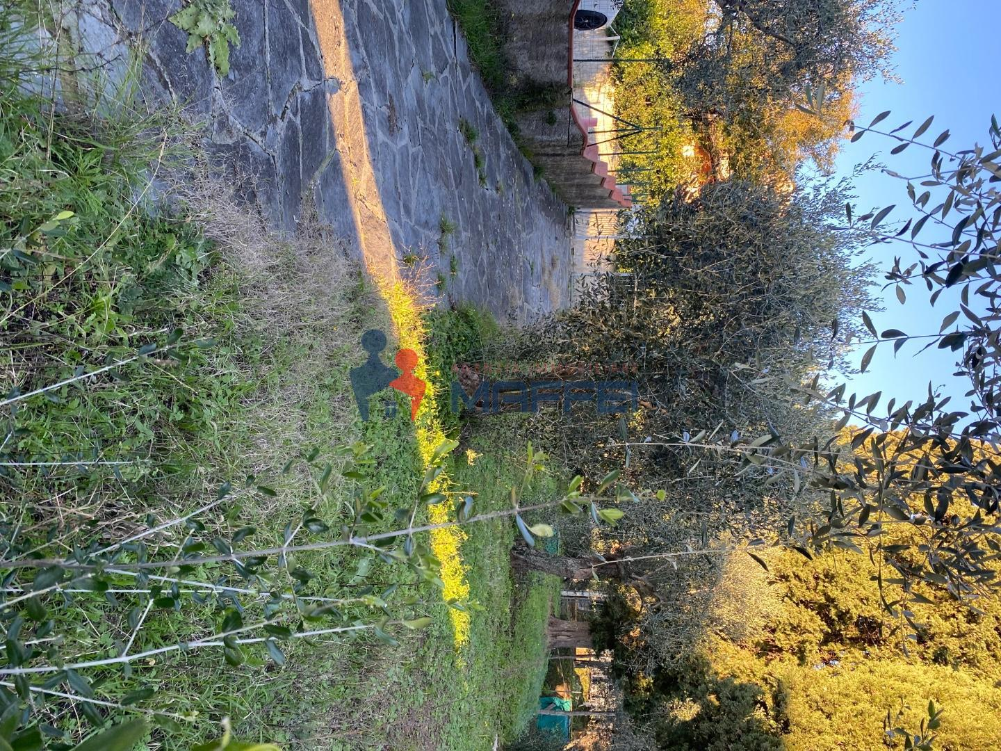 immagine annuncio 1 di 2