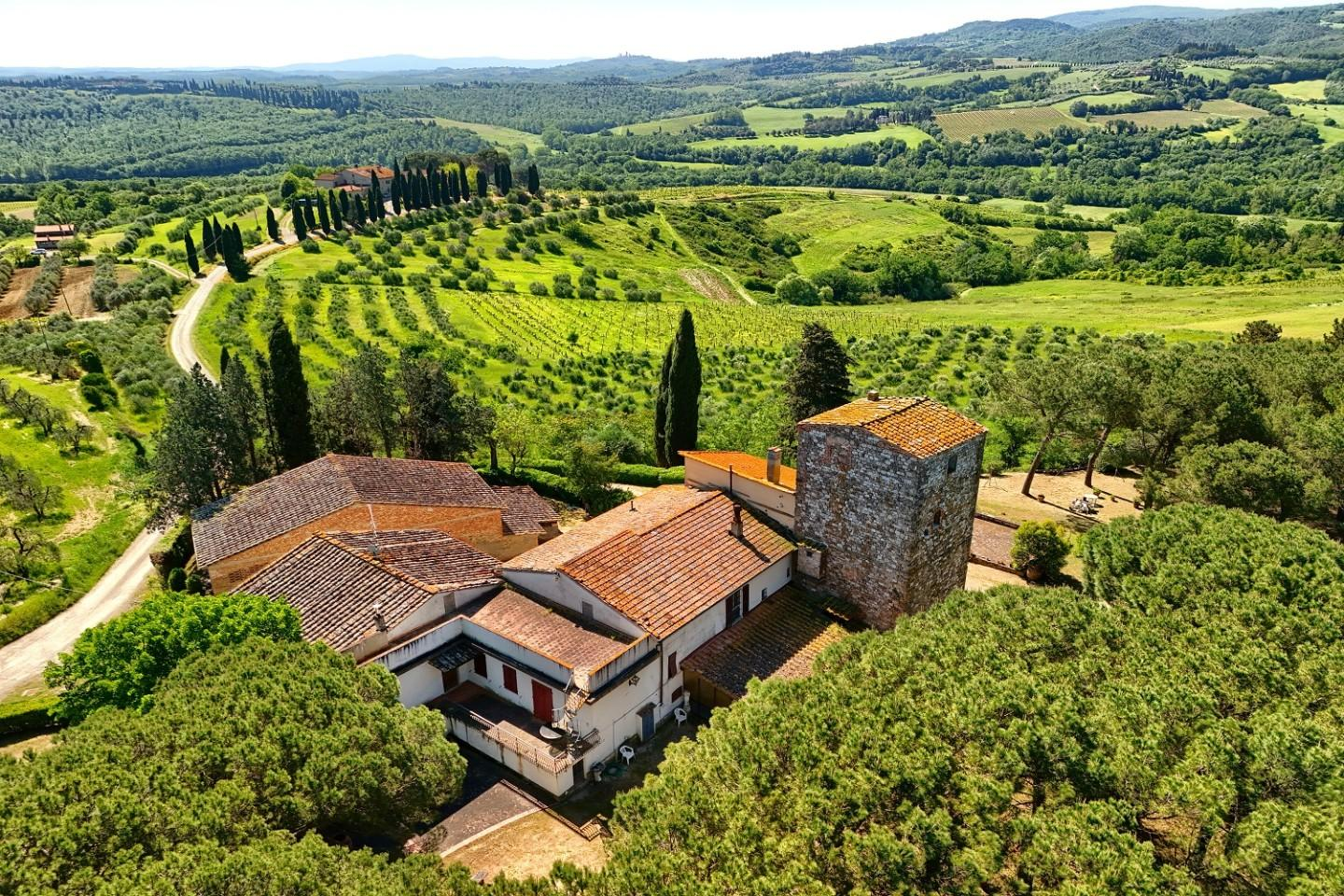 immagine annuncio 4 di 10