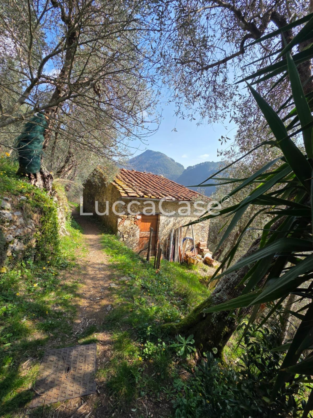 immagine annuncio 2 di 10