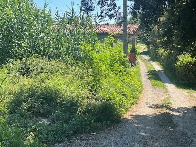 immagine annuncio 7 di 9