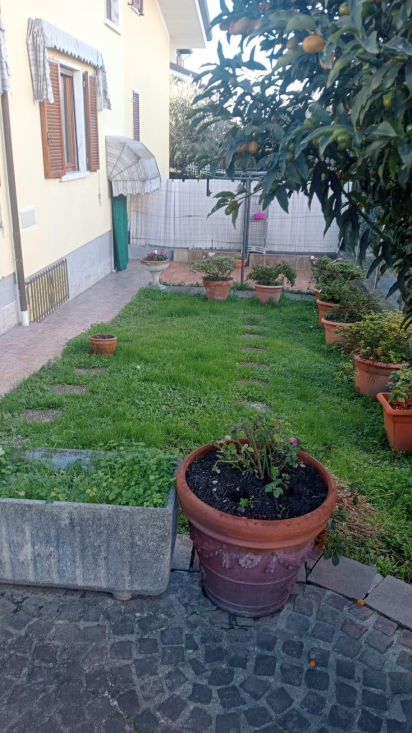 immagine annuncio 2 di 7