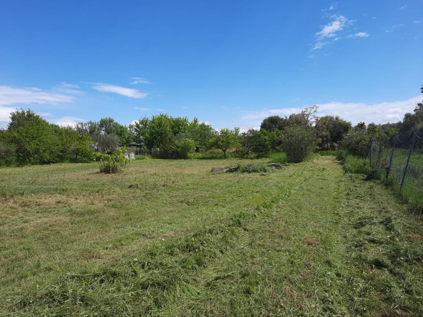 terreno agricolo in vendita a Cascina