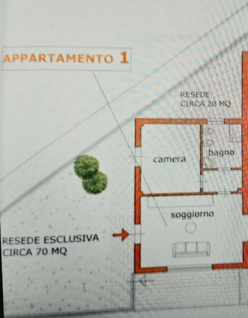 immagine annuncio 5 di 7
