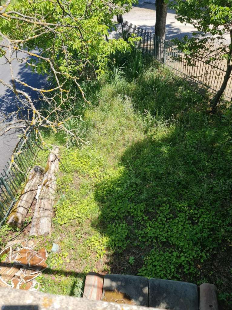 immagine annuncio 6 di 7