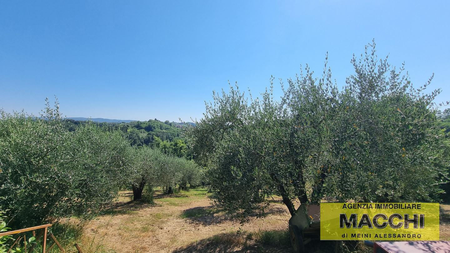 immagine annuncio 3 di 4