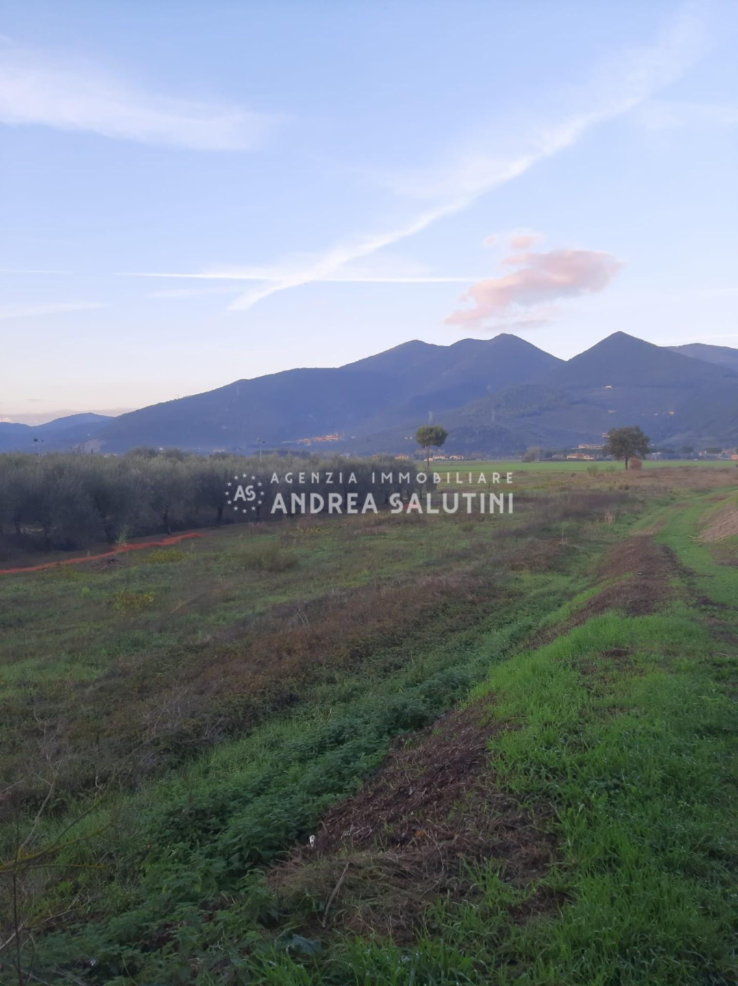 immagine annuncio 3 di 4