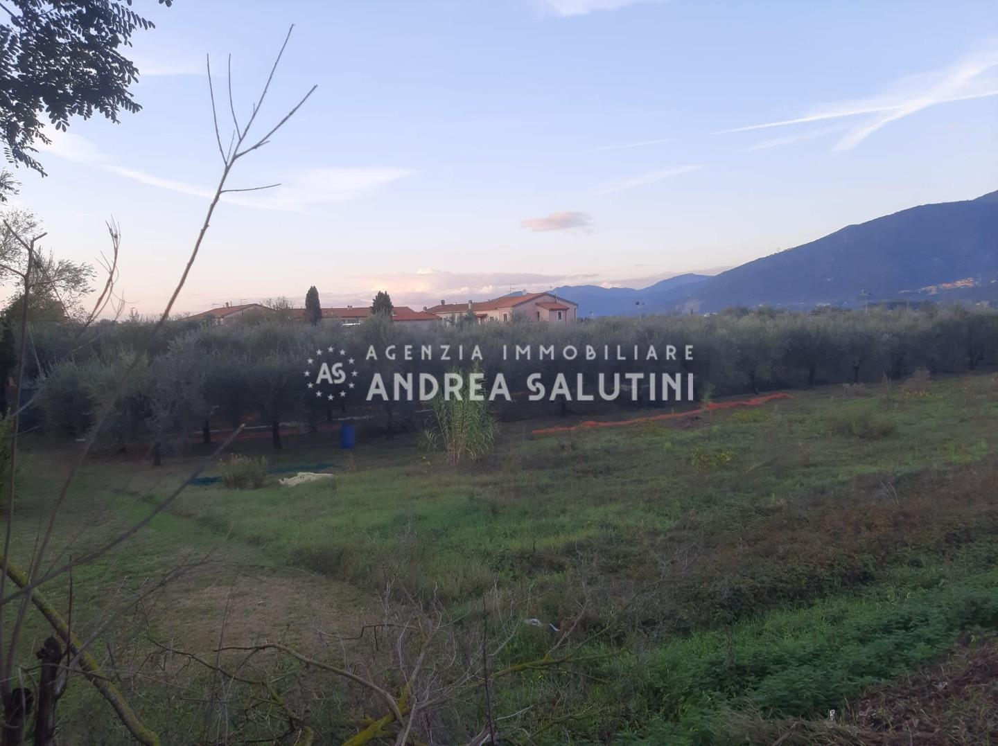 immagine annuncio 2 di 4