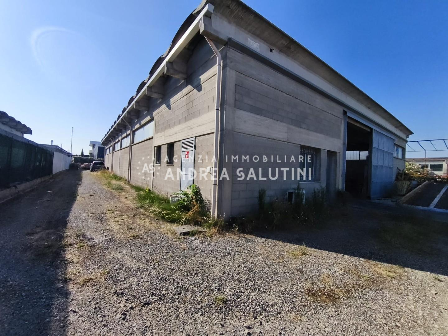 immagine annuncio 2 di 9