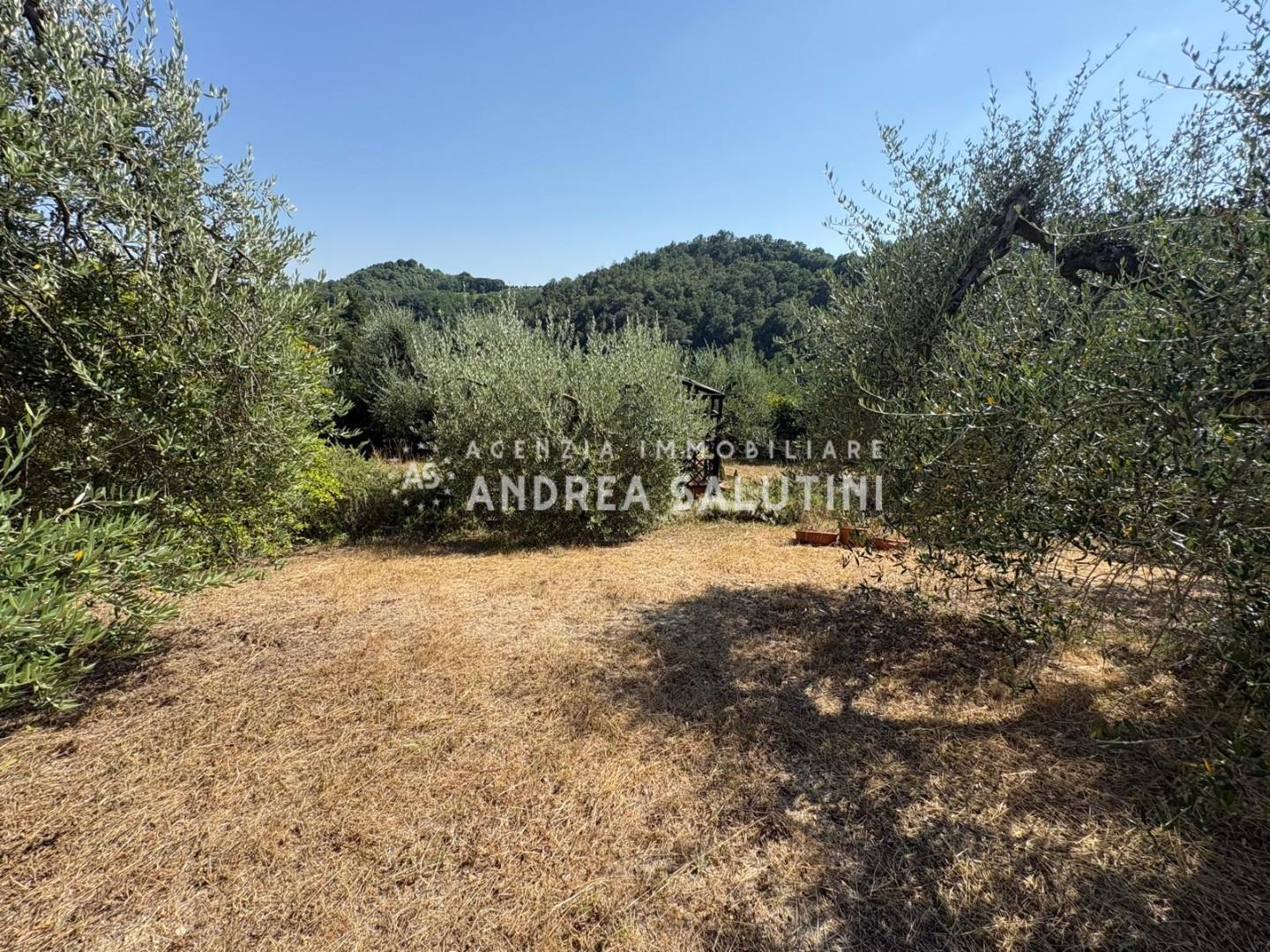 immagine annuncio 8 di 9