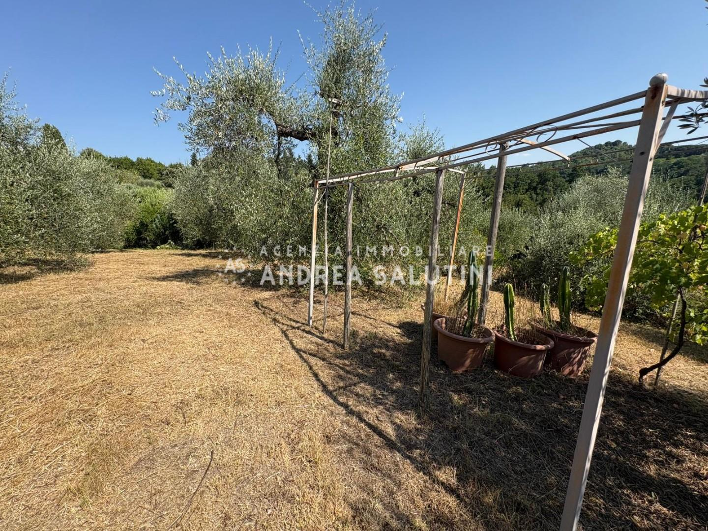 immagine annuncio 7 di 9