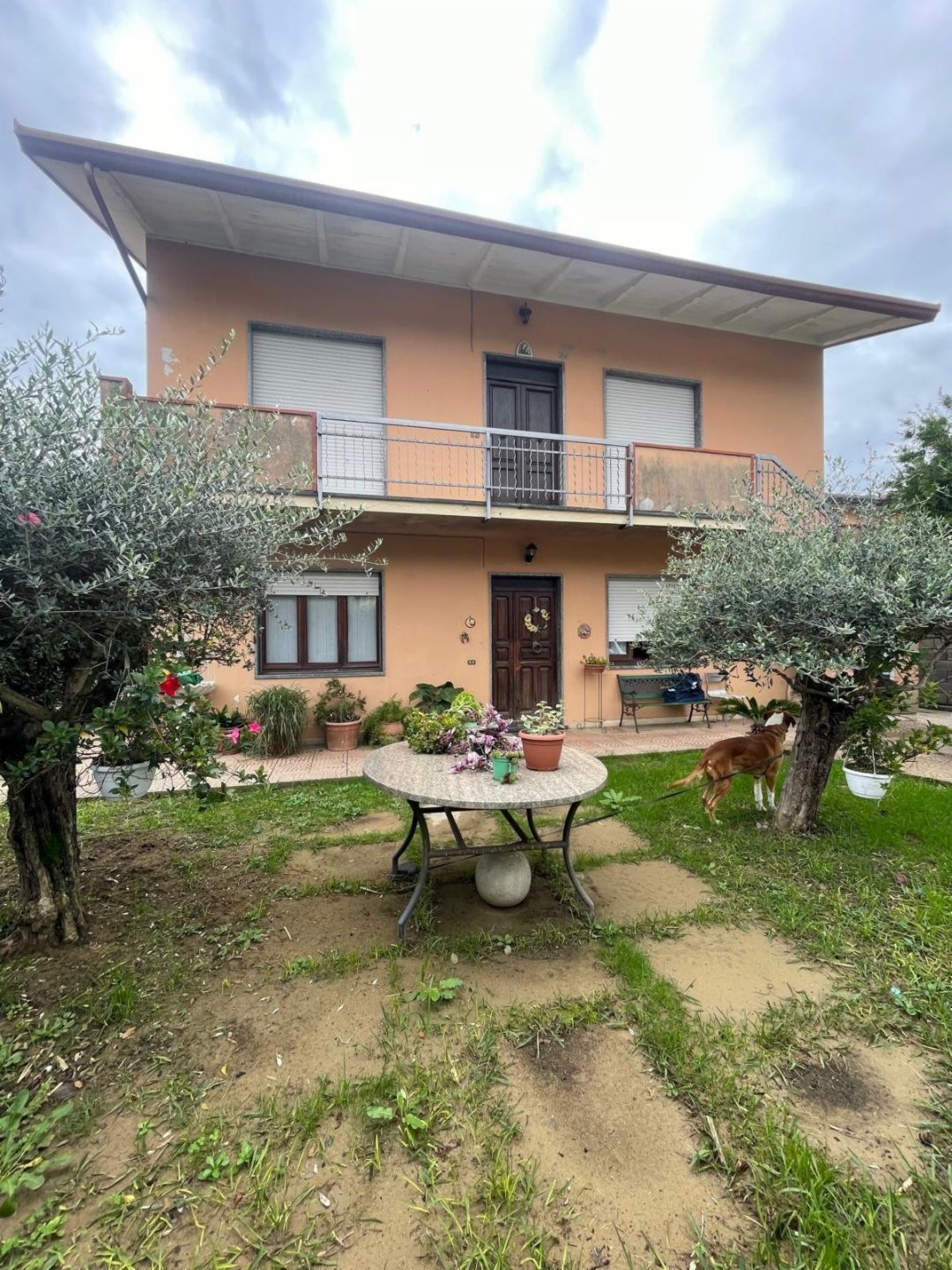 immagine annuncio 1 di 10