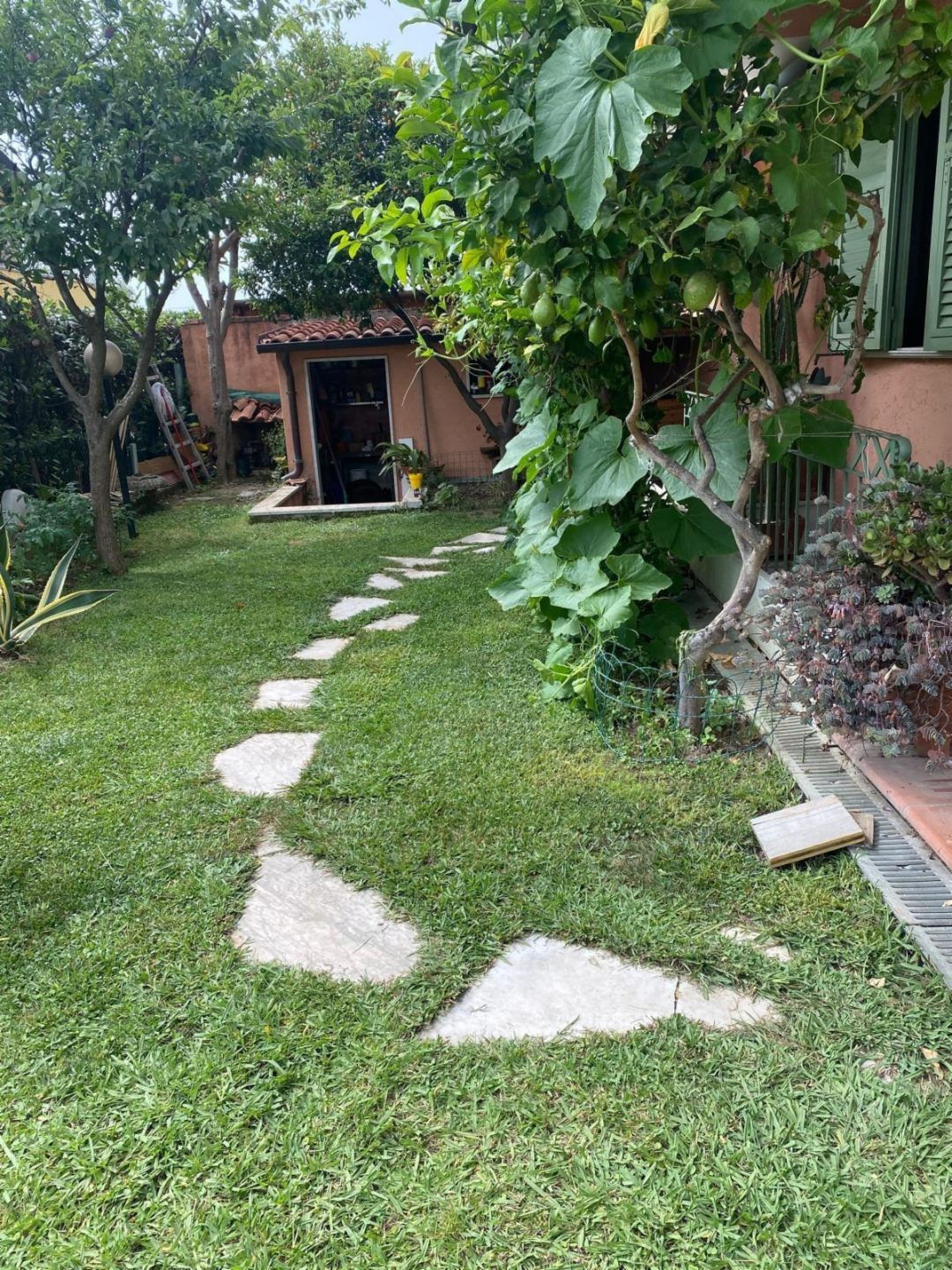 immagine annuncio 5 di 10