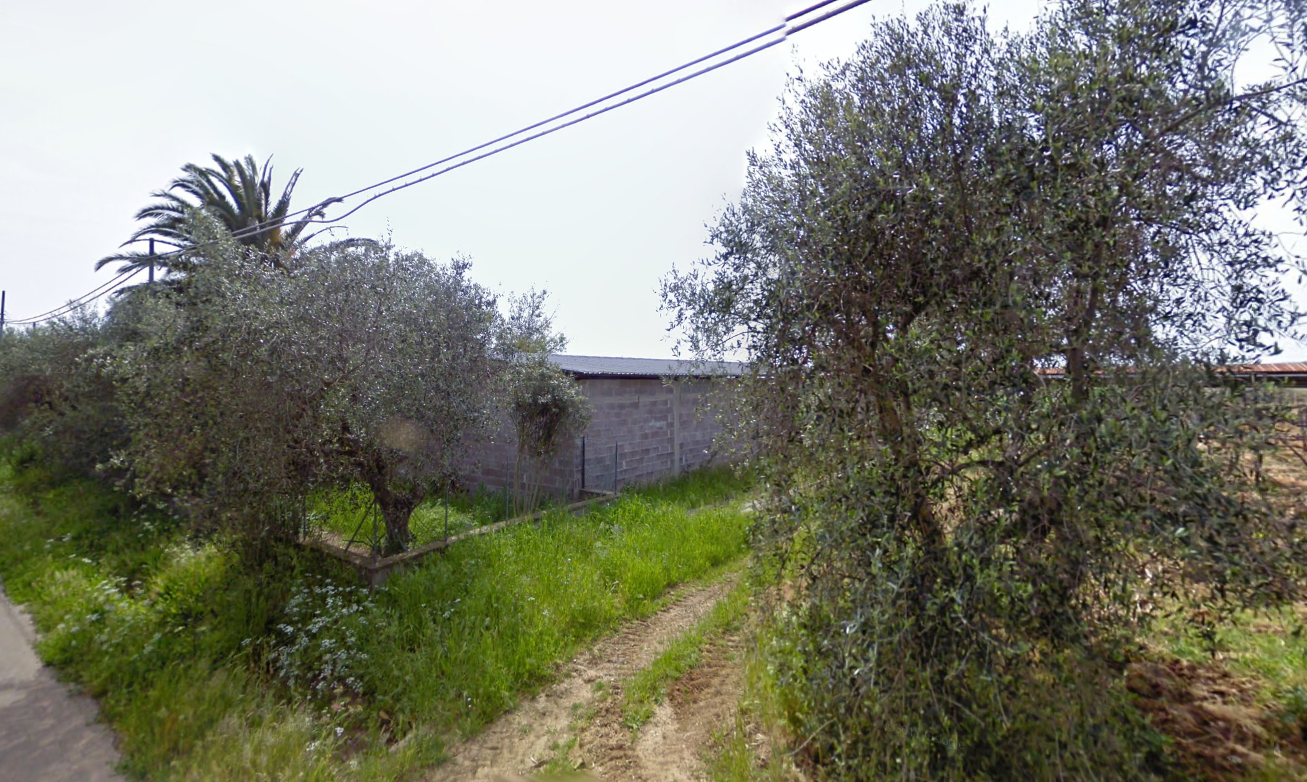immagine annuncio 1 di 2