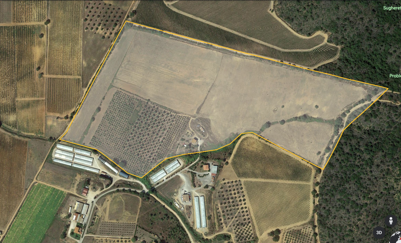 immagine annuncio 1 di 3