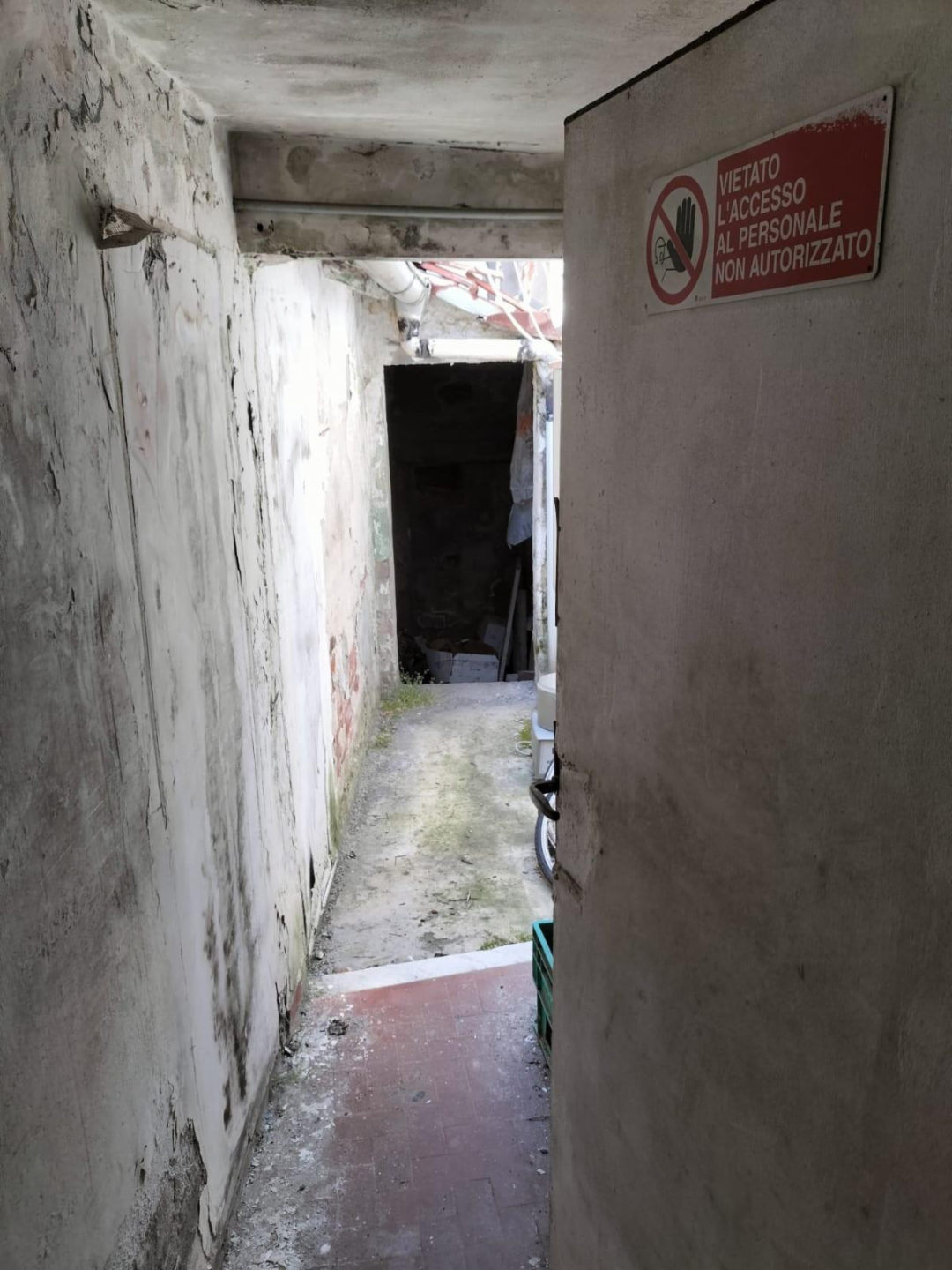 immagine annuncio 4 di 7