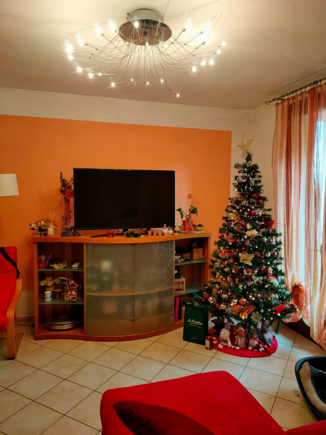 immagine annuncio 3 di 10