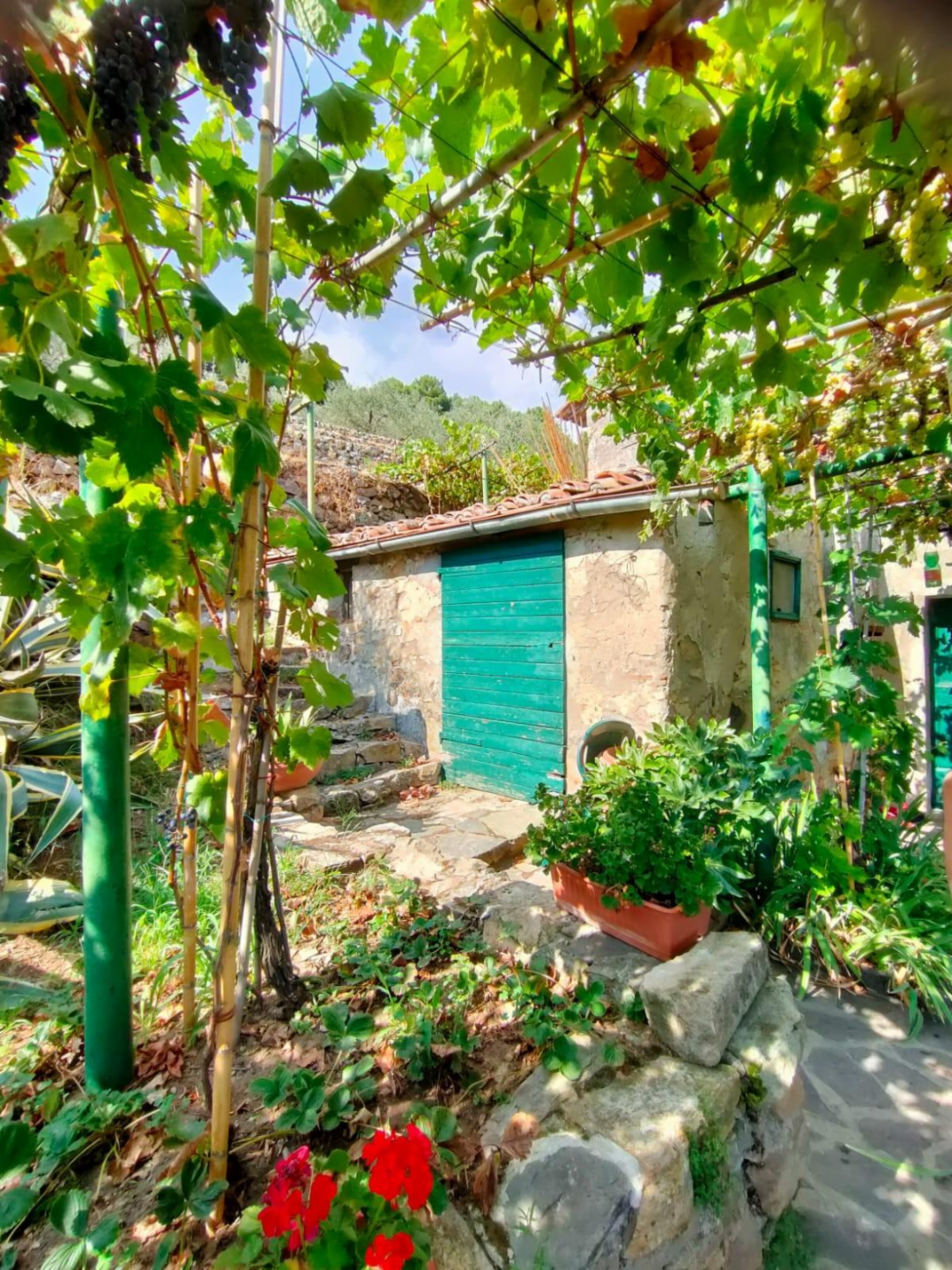 immagine annuncio 2 di 10