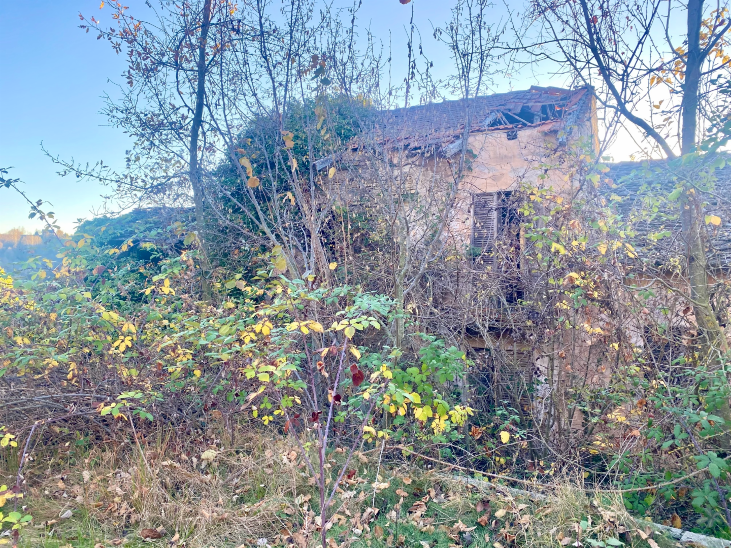 immagine annuncio 3 di 8