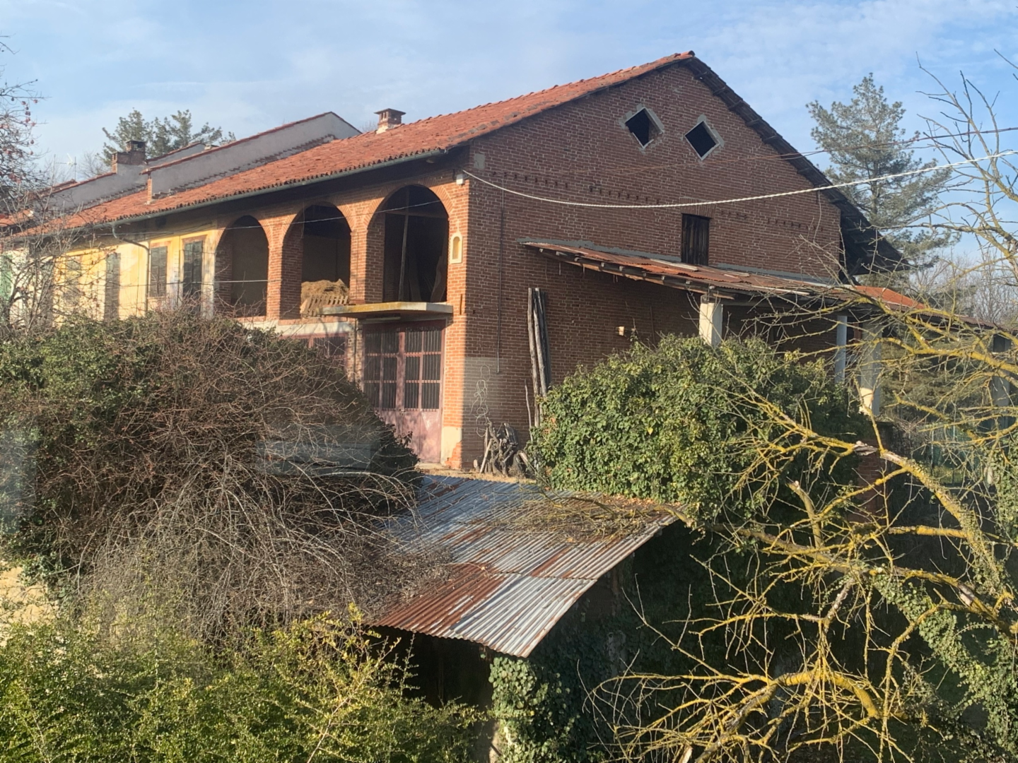immagine annuncio 1 di 10