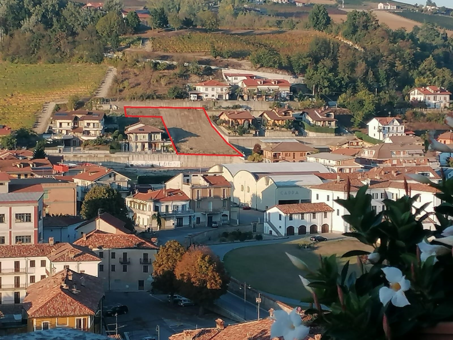 immagine annuncio 9 di 10