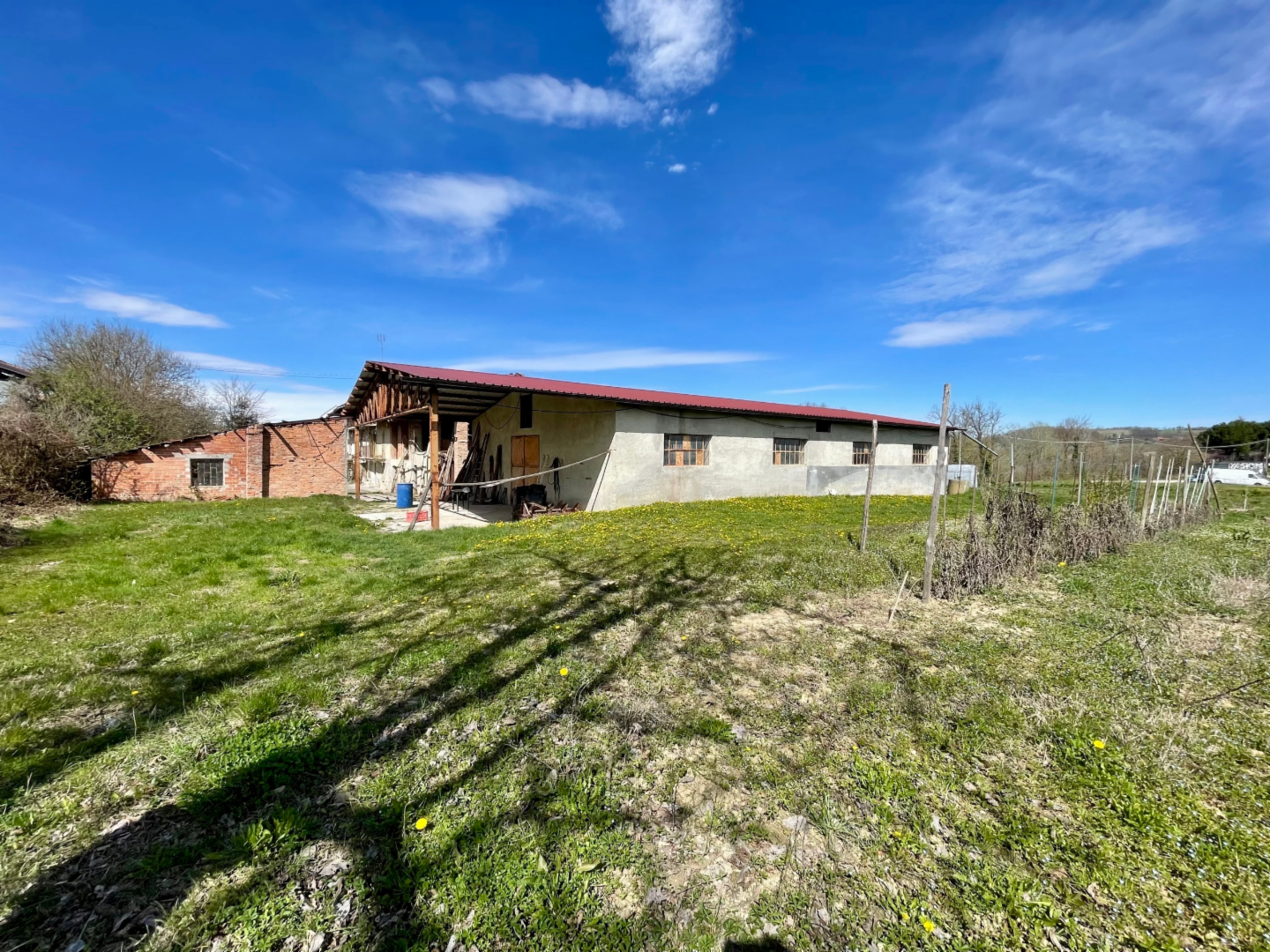 immagine annuncio 3 di 10