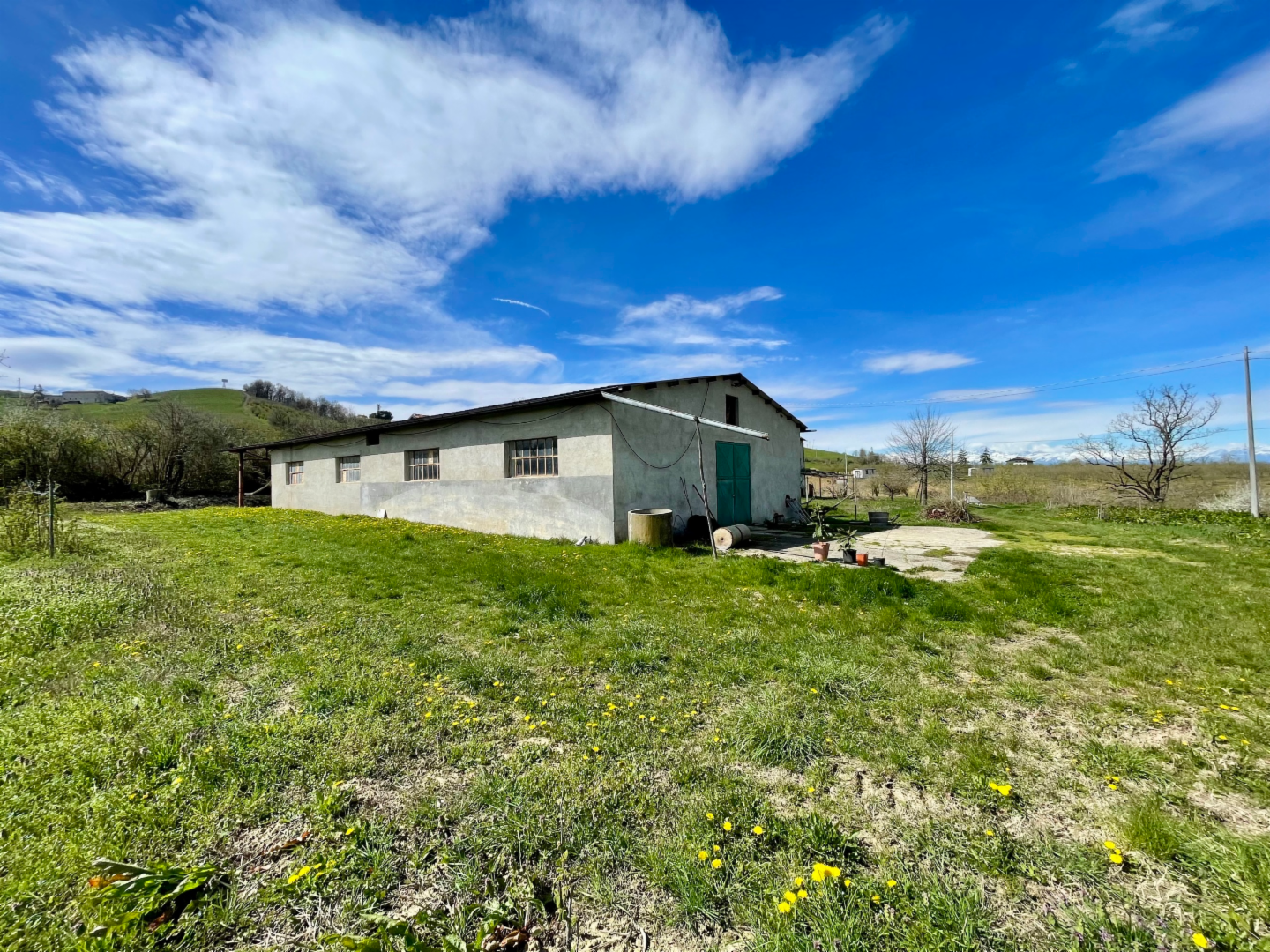 immagine annuncio 6 di 10