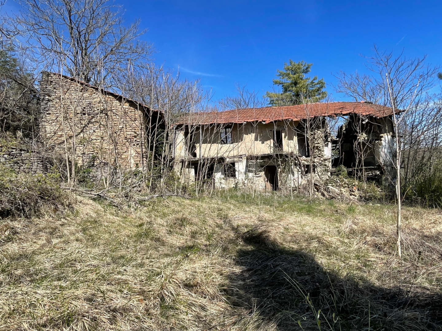 immagine annuncio 1 di 7