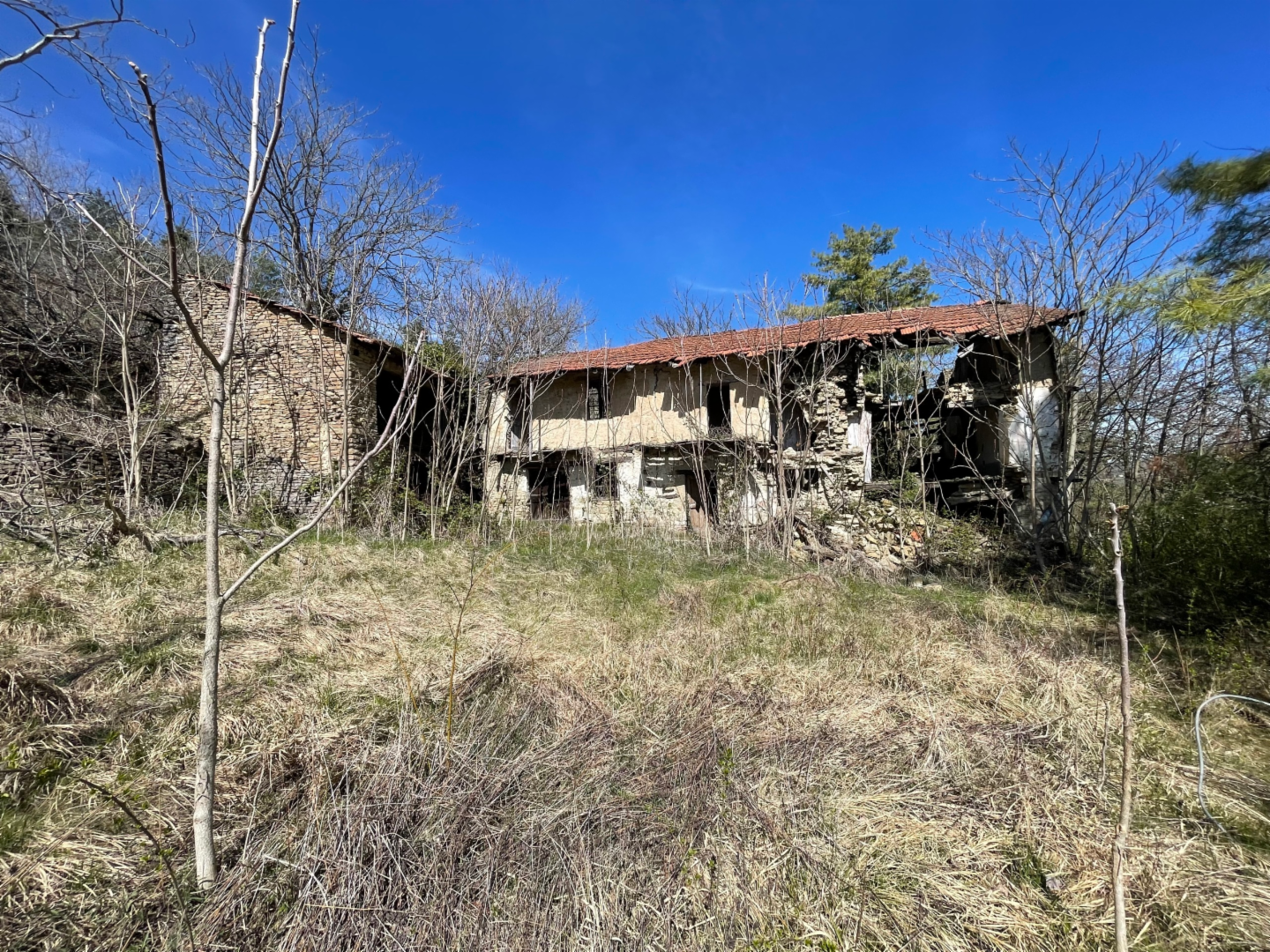 immagine annuncio 5 di 7