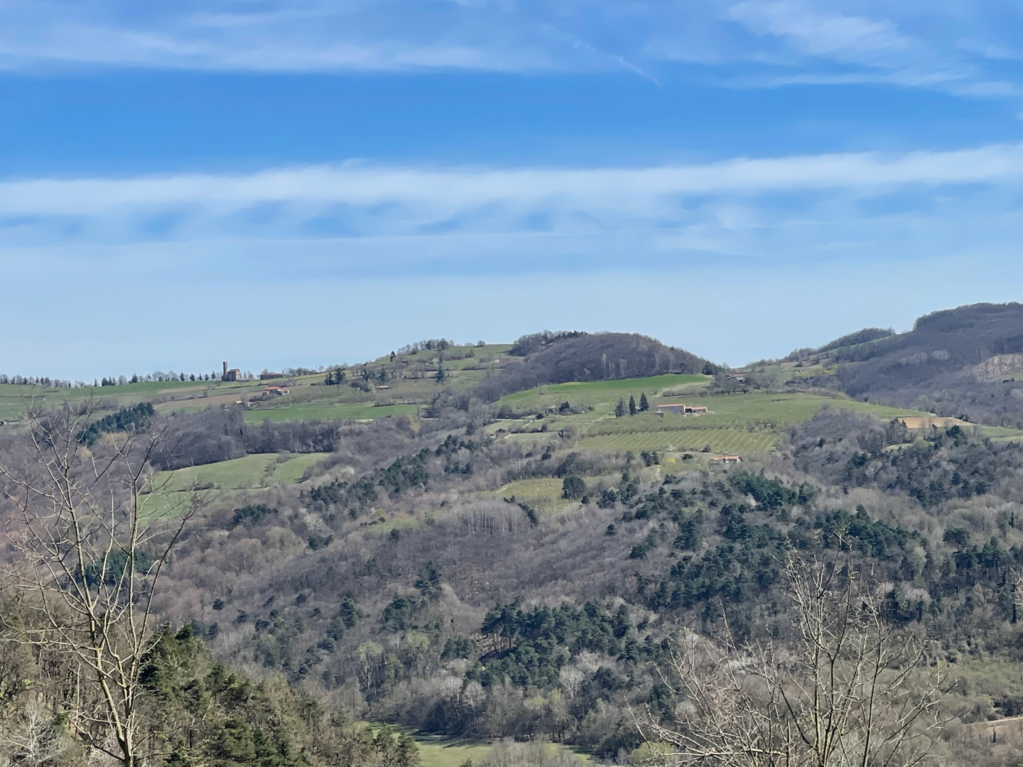 immagine annuncio 4 di 7