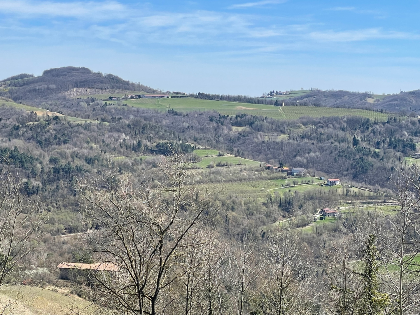 immagine annuncio 6 di 7